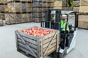 Industria Agroalimentaria