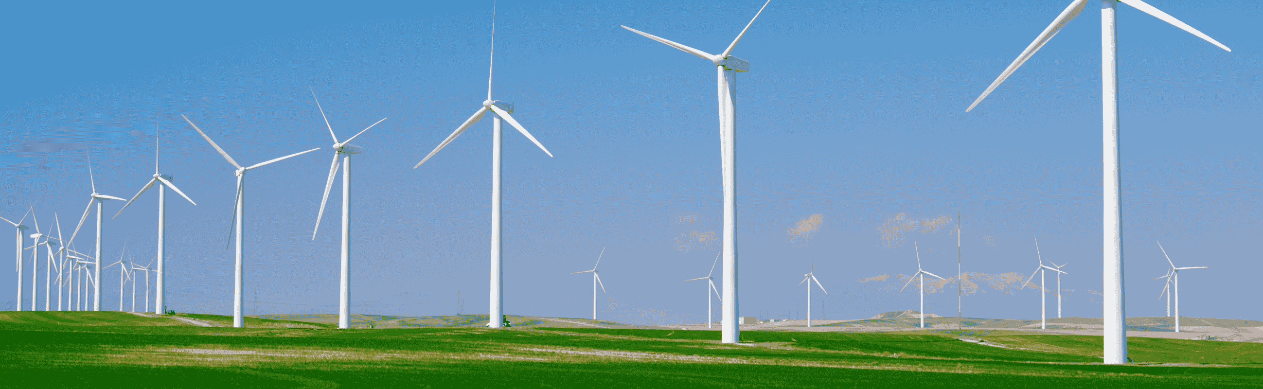 Parque eólico del sector energético
