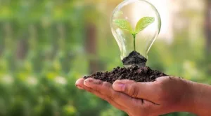 Mano sosteniendo tierra con una bombilla de la que brota una planta verde, simbolizando sostenibilidad, innovación y futuro responsable – onhunters, firma de búsqueda y selección de personal.